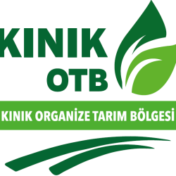 Ekran görüntüsü 2026-05-21 103639